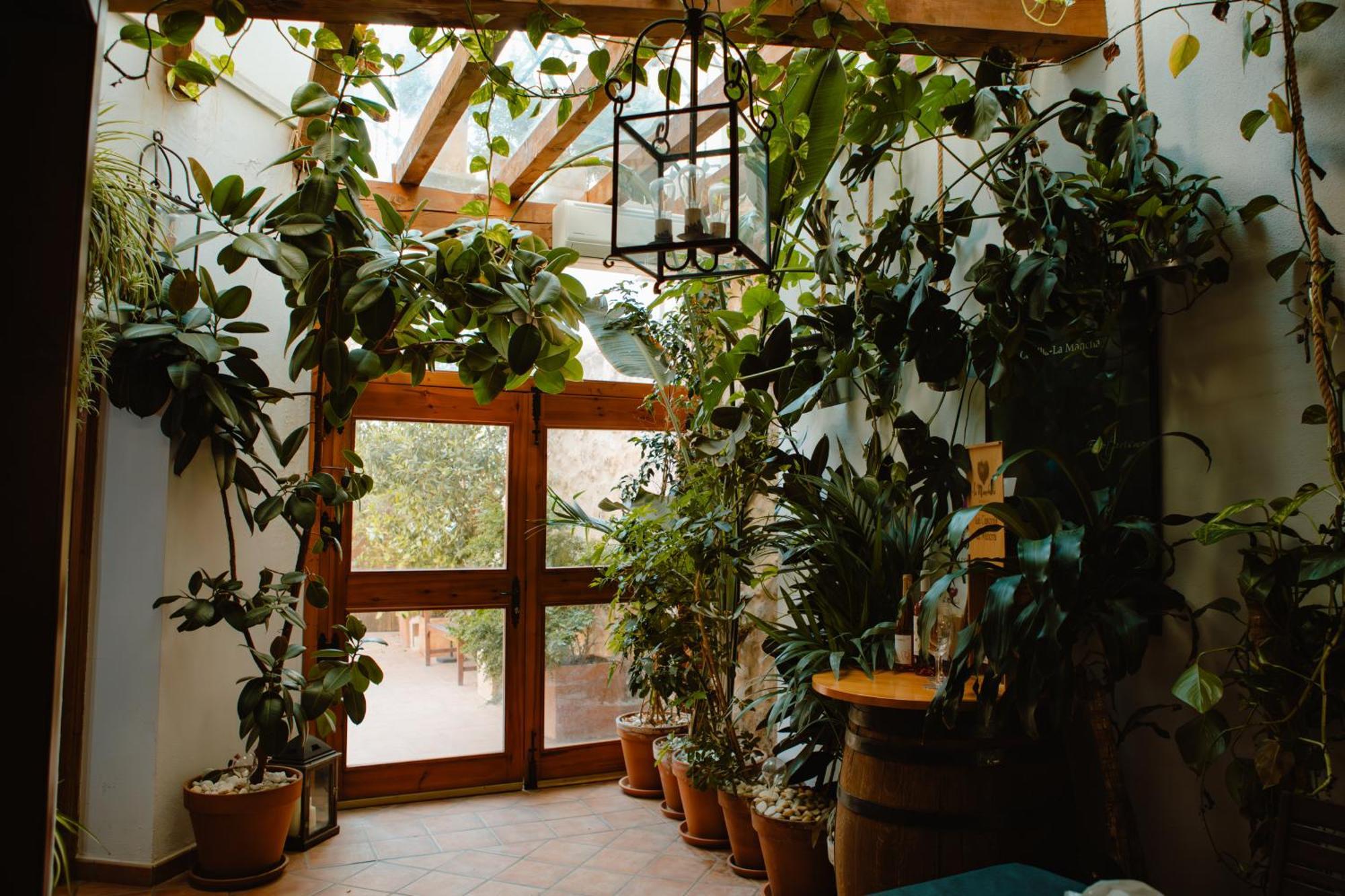 منزل الضيف La Casona De Mahora المظهر الخارجي الصورة